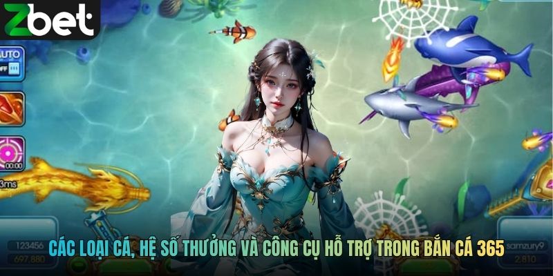 Các loại cá, hệ số thưởng và công cụ hỗ trợ trong Bắn cá 365