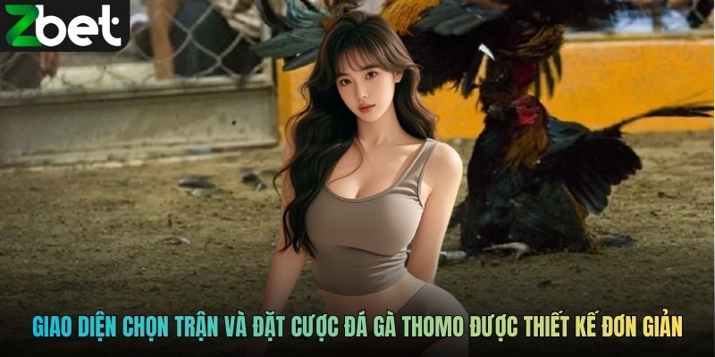 Giao diện chọn trận và đặt cược đá gà Thomo được thiết kế đơn giản