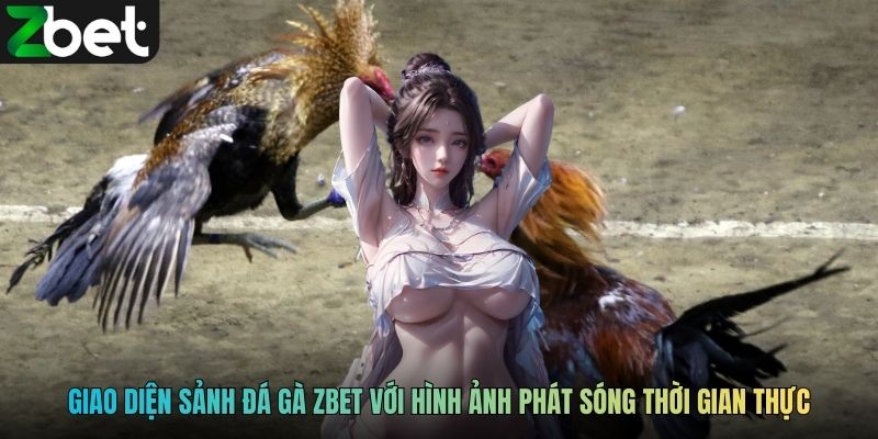 Giao diện sảnh đá gà ZBET với hình ảnh phát sóng thời gian thực