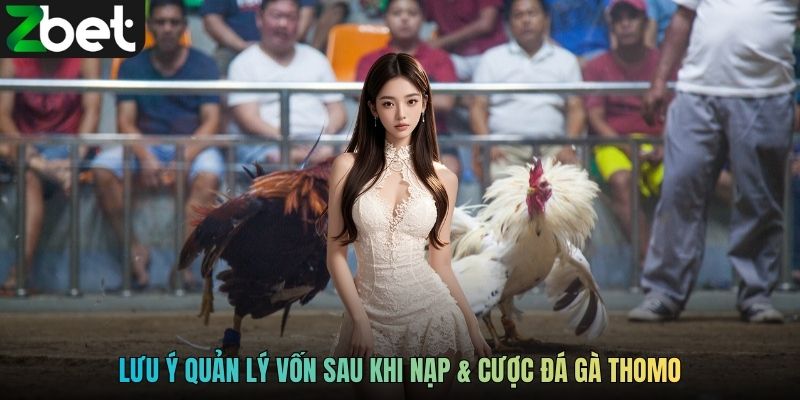 Lưu ý quản lý vốn sau khi nạp & cược đá gà Thomo